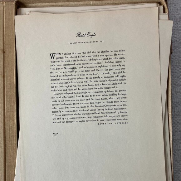 Audubon Birds Of America: 46 Of 50 Color Plates Selected by Roger T Peterson - Picture 6 of 15